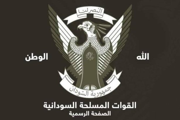 الجيش السوداني يتقدم في جبل كردفان